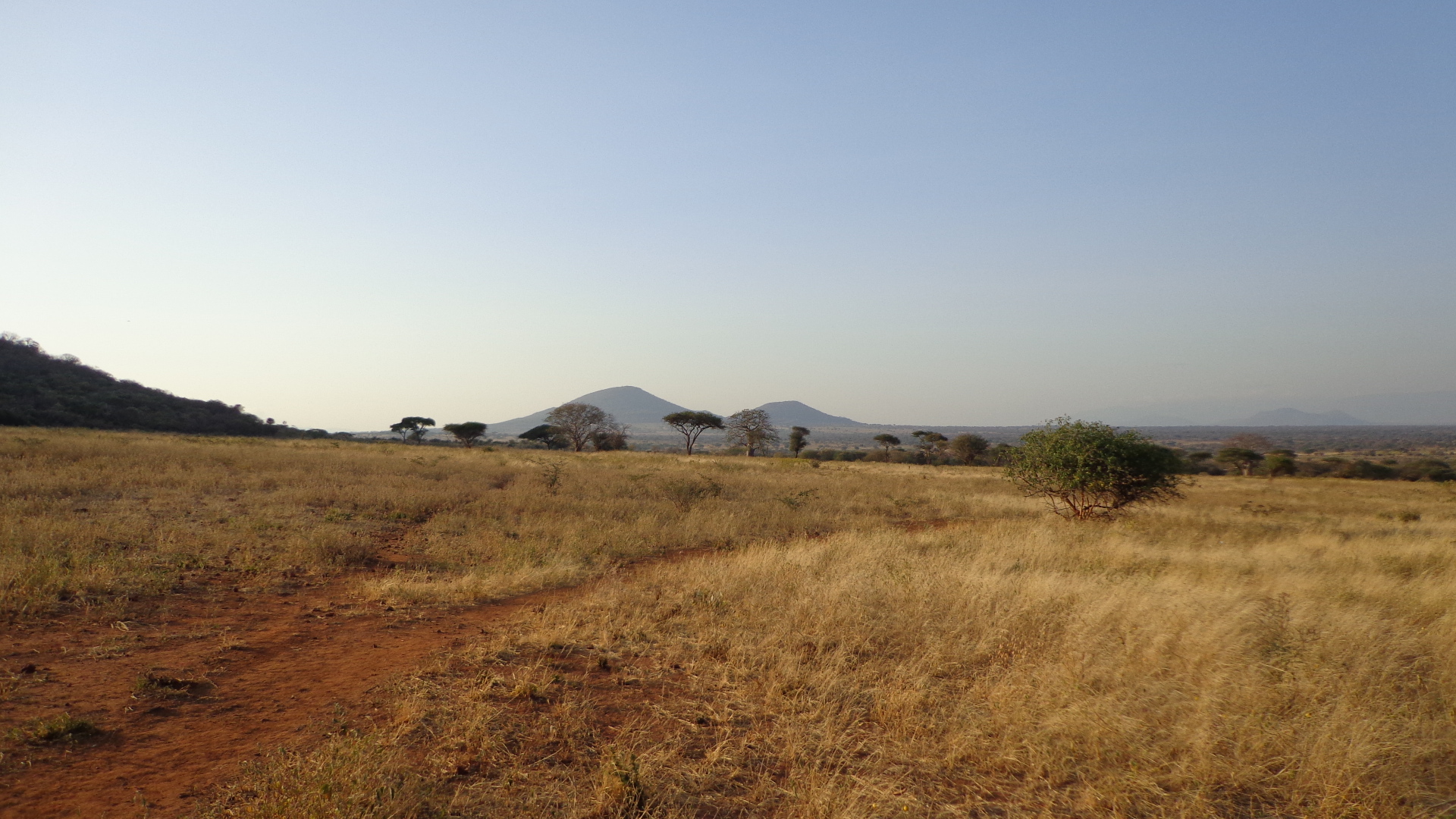 Haneti Project | TANZANIA - Katoro Gold PLC